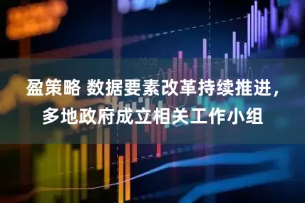 盈策略 数据要素改革持续推进，多地政府成立相关工作小组