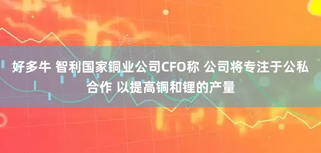 好多牛 智利国家铜业公司CFO称 公司将专注于公私合作 以提高铜和锂的产量