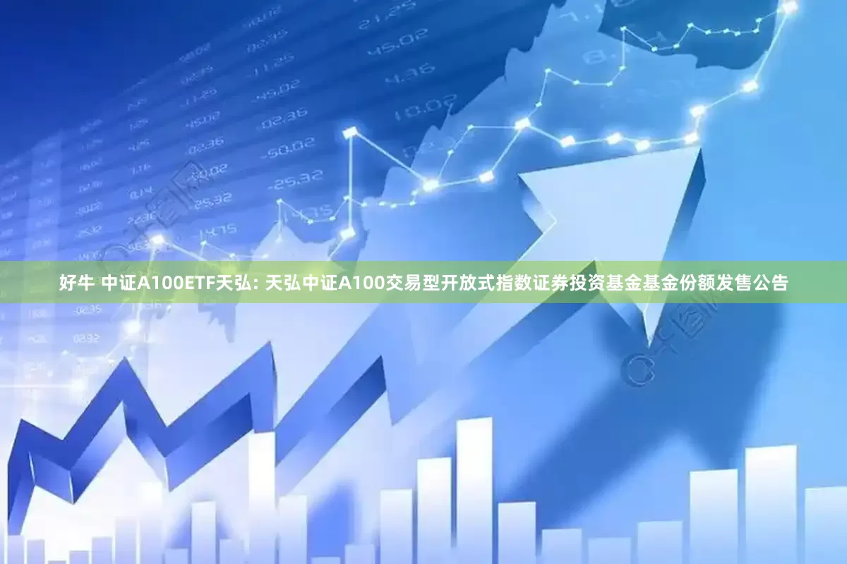 好牛 中证A100ETF天弘: 天弘中证A100交易型开放式指数证券投资基金基金份额发售公告
