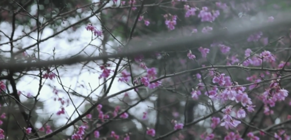 博星配资 伴侣有这个特质，说明你找对人了